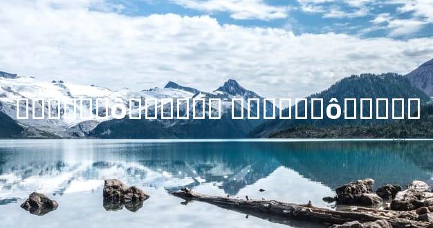 ������ô������ ������ô���Ƹ�